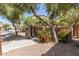 Community mailboxes are surrounded by landscaping and beautiful rose bushes at 2024 S Baldwin St # 161, Mesa, AZ 85209