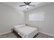 Cozy bedroom featuring a bed, ceiling fan, a small window and light wood look flooring at 3516 E Earll Dr, Phoenix, AZ 85018