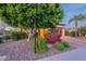 Home exterior with desert landscaping features a lush tree, shrubs and vibrant pink flowering bush at 37148 N Stoneware Dr, Queen Creek, AZ 85140