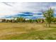 Spacious, grassy common area ideal for picnics, recreation, and neighborhood gatherings at 3848 S Coach House Dr, Gilbert, AZ 85297