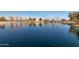 Tranquil lake with a view of ducks, lush greenery and calm water at 3848 S Coach House Dr, Gilbert, AZ 85297