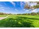 Lush green space with walking path, mature trees and open area offers ample space for recreation and relaxation at 3848 S Coach House Dr, Gilbert, AZ 85297