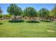 Picturesque park area featuring picnic tables, playground, and open green space at 3848 S Coach House Dr, Gilbert, AZ 85297