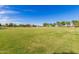 A large green soccer field with goals at either end for community games and recreation at 3848 S Coach House Dr, Gilbert, AZ 85297