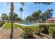 Relaxing community pool area with palm trees and sun loungers, offering a resort-like experience at 439 N Cobblestone St, Gilbert, AZ 85234