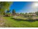 Lush backyard featuring green grass and mature trees. Ideal for gardening at 4612 W Waltann W Ln, Glendale, AZ 85306