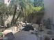 Serene backyard pond with rock features, surrounded by lush landscaping and mature palm trees at 7318 E Woodsage Ln, Scottsdale, AZ 85258