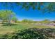 A lush community green space features mature trees and landscaping under a clear blue sky at 10251 W Gambit Trl, Peoria, AZ 85383
