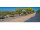 Well-maintained walking path lined with native desert plants, perfect for enjoying nature and staying active at 10251 W Gambit Trl, Peoria, AZ 85383