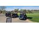 Golf carts parked near the green, showcasing the golfing amenities available at 12950 W Quinto Dr, Sun City West, AZ 85375