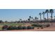 Scenic golf course view with mature trees and well-maintained landscaping, perfect for golf enthusiasts at 12950 W Quinto Dr, Sun City West, AZ 85375