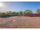 Backyard features desert landscaping, privacy walls, and a built in BBQ at 1642 E Cardinal Dr, Casa Grande, AZ 85122