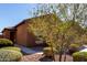 Landscaped front yard with a desert tree, trimmed bushes and a sidewalk leading to the home's entrance at 1739 E Elegante Dr, Casa Grande, AZ 85122