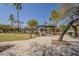 Community pool area featuring a large pool, picnic tables, and mature palm trees at 26842 N 176Th Ln, Surprise, AZ 85387