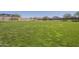 Expansive green space great for outdoor activities and community events at 26842 N 176Th Ln, Surprise, AZ 85387