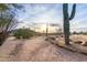 Desert landscape scene with a trail, native plants, and a serene view of the setting sun on the horizon at 37646 N Dream St, Carefree, AZ 85377