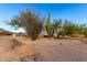 A desert landscape featuring native plants and gravel ground cover for a low-maintenance and natural aesthetic at 37646 N Dream St, Carefree, AZ 85377
