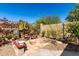 Charming backyard garden with desert landscaping featuring various succulents, cacti, and blooming plants at 3914 E Constance Way, Phoenix, AZ 85042