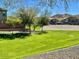 Beautiful community park with lush green grass and mature trees providing shade on a sunny day at 3914 E Constance Way, Phoenix, AZ 85042