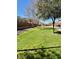 Well-maintained green space with playground and walking path, offering a tranquil and active community setting at 3914 E Constance Way, Phoenix, AZ 85042