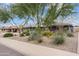 Inviting single-story home featuring desert landscaping, lush trees, and a peaceful neighborhood setting at 3931 W Augusta Ave, Phoenix, AZ 85051