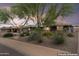 Inviting single-story home featuring desert landscaping, lush trees, and a peaceful neighborhood setting at 3931 W Augusta Ave, Phoenix, AZ 85051