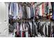 Organized walk-in closet with shelves, rods, and an abundance of storage space at 4552 E County Down Dr, Chandler, AZ 85249