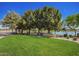 Neighborhood entrance sign with mature trees, landscaping and view of the lake at 4552 E County Down Dr, Chandler, AZ 85249
