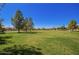 Beautiful park featuring lush green lawns and mature trees, perfect for outdoor activities at 4552 E County Down Dr, Chandler, AZ 85249