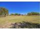 Expansive park featuring a large grassy area with play structures and picnic benches at 4552 E County Down Dr, Chandler, AZ 85249