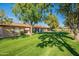Beautiful backyard with lush green grass and mature trees providing shade on a sunny day at 520 S Greenfield Rd # 22, Mesa, AZ 85206
