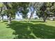 Picturesque golf course view with lush green grass, mature trees, and a tranquil pond at 520 S Greenfield Rd # 22, Mesa, AZ 85206