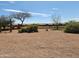 Gravel backyard featuring native desert vegetation and trees under a partly cloudy sky at 5812 S Staghorn Cholla Ct, Gold Canyon, AZ 85118
