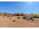 Expansive backyard with desert landscaping and a view of the home's covered patio at 5812 S Staghorn Cholla Ct, Gold Canyon, AZ 85118