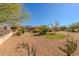 Wide view of desert landscaping with native plants at 5812 S Staghorn Cholla Ct, Gold Canyon, AZ 85118