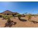 Property showcasing desert landscaping with various plants and shrubs at 5812 S Staghorn Cholla Ct, Gold Canyon, AZ 85118