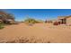 Wide backyard view showcasing desert landscaping and an inviting covered patio at 5812 S Staghorn Cholla Ct, Gold Canyon, AZ 85118