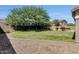 Spacious backyard featuring a manicured lawn, mature trees, and a stone barbecue at 6204 S Banning St, Gilbert, AZ 85298