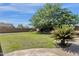 View of the spacious backyard featuring a manicured lawn, mature trees, and privacy wall at 6204 S Banning St, Gilbert, AZ 85298