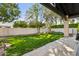 Lush green backyard with mature trees, a concrete patio, and a privacy wall offers a serene outdoor space at 8336 S Homestead Ln, Tempe, AZ 85284