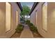 A walkway between two wings of the house leads to the street; desert landscaping and shrubbery line the path at 8336 S Homestead Ln, Tempe, AZ 85284