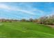 Expansive community green space with mature trees providing a park-like setting at 8542 E Indigo St, Mesa, AZ 85207