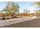 Neighborhood street view with attractive desert landscaping at 8542 E Indigo St, Mesa, AZ 85207