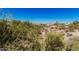Property with desert landscape featuring native vegetation and mountain views at 9401 N 122Nd Pl, Scottsdale, AZ 85259