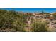 Desert landscaping with mature cacti and native vegetation creating a natural, low-maintenance landscape at 9401 N 122Nd Pl, Scottsdale, AZ 85259