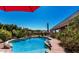 Inviting backyard pool with basketball hoop, desert landscaping, and covered patio at 9401 N 122Nd Pl, Scottsdale, AZ 85259