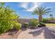 Spacious backyard featuring a brick patio, lush green grass, mature citrus trees, and palm tree at 14443 W Morning Star Trl, Surprise, AZ 85374