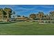 Scenic view of the golf course and pond in the community at 14443 W Morning Star Trl, Surprise, AZ 85374