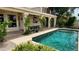 Inviting backyard pool with a covered patio area and lush greenery at 1614 E Kathleen Rd, Phoenix, AZ 85022