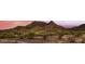 Picturesque mountain view showcasing a serene landscape with varied desert flora at 1614 E Kathleen Rd, Phoenix, AZ 85022